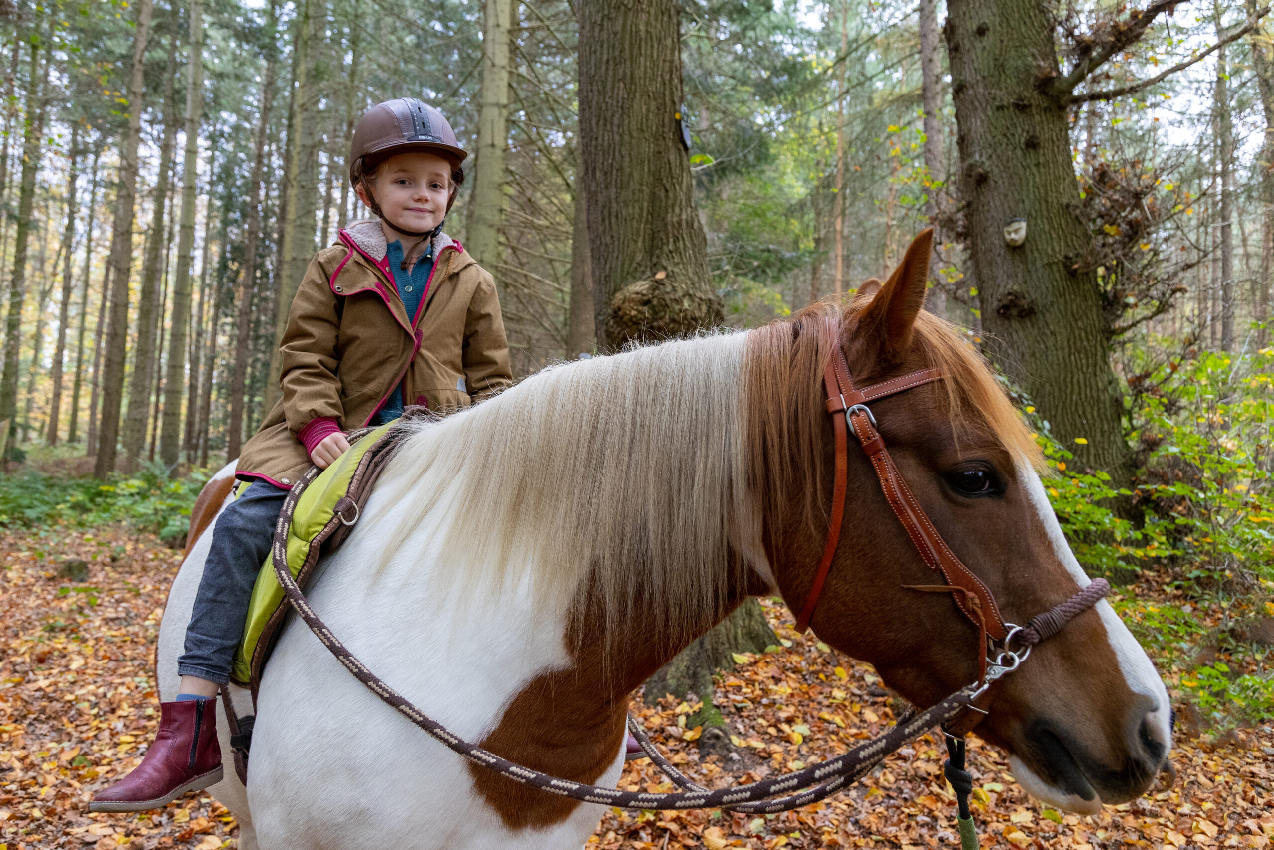 Kleines Kind mit brauner Jacke und Reithelm auf einem gescheckten Pferd im Herbstwald