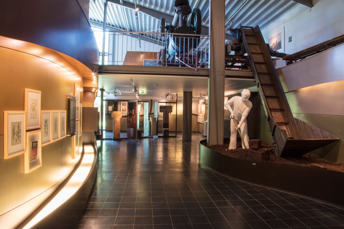 Familienhotel Gut Landegge im Emsland: Moormuseum Geeste