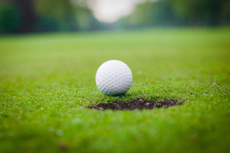 Familienhotel Gut Landegge im Emsland: Golfball kurz vor dem Loch auf einem gut gepflegten Golfplatz
